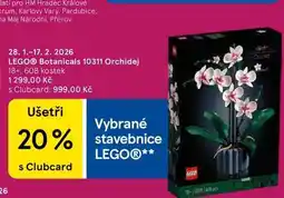 Tesco LEGO Botanicals 10311 Orchidej 18+, 608 kostek nabídka