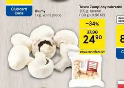 Tesco Tesco žampiony zahradní, 250 g. balené nabídka