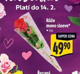 Albert Růže mono sleeve 1ks nabídka