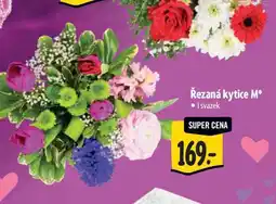 Albert Řezaná kytice M 1 svazek nabídka