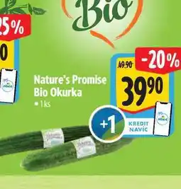 Albert Nature's Promise Bio Okurka 1ks nabídka