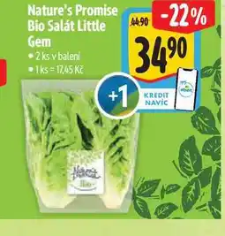 Albert Nature's Promise Bio Salát Little Gem 2 ks nabídka