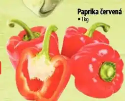 Albert Paprika červená nabídka