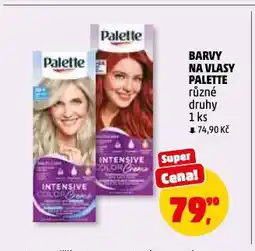 Penny Market Palette barva na vlasy nabídka