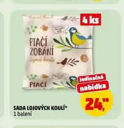 Penny Market Sada lojových koulí nabídka