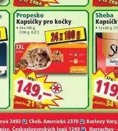 Norma Propesko kapsičky pro kočky nabídka