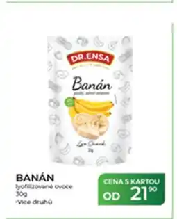 Tamda Foods BANÁN lyofilizované ovoce nabídka