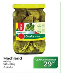 Tamda Foods Machland okurky nabídka