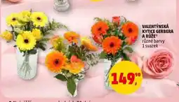 Penny Market VALENTÝNSKÁ KYTICE GERBERA A RŮŽE, 1 svazek nabídka