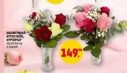 Penny Market VALENTÝNSKÁ KYTICE RŮŽE, GYPSOFILA, 1 svazek nabídka