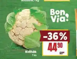 Billa Květák nabídka