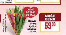 Billa Bonvia flora kytice tulipánů nabídka
