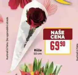 Billa Růže nabídka