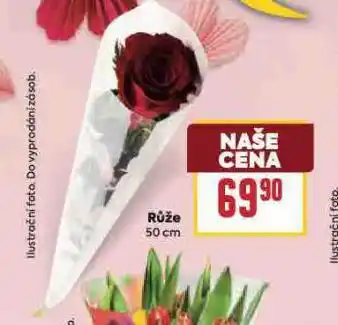 Billa Růže nabídka
