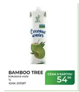 Tamda Foods BAMBOO TREE kokosová voda nabídka