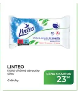 Tamda Foods LINTEO nabídka