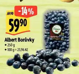 Albert Borůvky nabídka