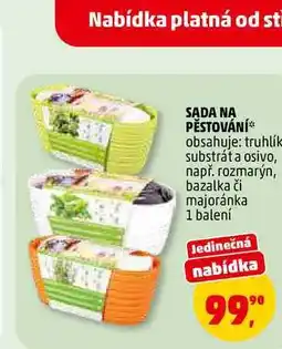 Penny Market SADA NA PĚSTOVÁNÍ, 1 balení nabídka