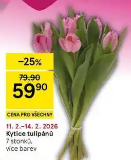 Tesco Kytice tulipánů, 7 stonků. více barev nabídka