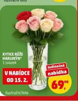 Penny Market KYTICE RŮŽE HARLEKÝN, 1 svazek nabídka