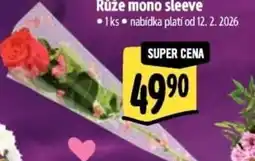 Albert Růže mono sleeve nabídka
