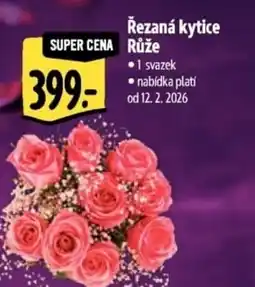 Albert Řezaná kytice Růže nabídka