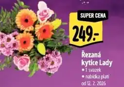 Albert Řezaná kytice Lady nabídka