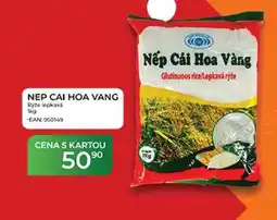 Tamda Foods NẸP CÁI HOA VÀNG Ryze lepkavá nabídka
