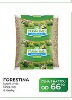 Tamda Foods FORESTINA travní směs 500g,1kg nabídka