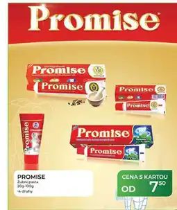 Tamda Foods PROMISE Zubni pasta 20g-100g nabídka
