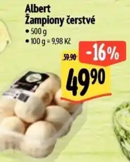 Albert Albert Žampiony čerstvé nabídka