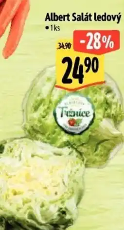 Albert Albert Salát ledový nabídka
