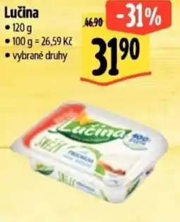 Albert Lučina nabídka