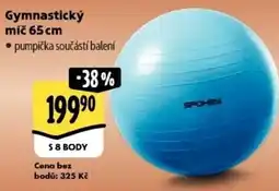 Albert Gymnastický míč 65 cm nabídka