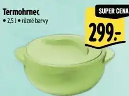 Albert Termohrnec nabídka