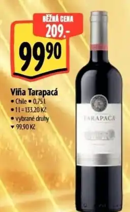 Albert Viña Tarapacá nabídka