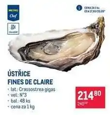 Makro ÚSTŘICE FINES DE CLAIRE nabídka