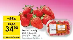 Tesco Tesco Jahody nabídka