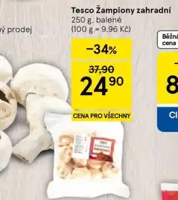 Tesco Tesco Žampiony zahradní nabídka