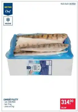 Makro Candát filety nabídka