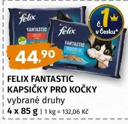 Terno Felix Fantastic Kapsičky pro kočky nabídka