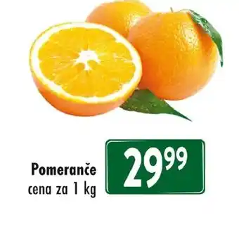 Qanto Pomeranče nabídka