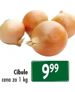 Qanto Cibule nabídka