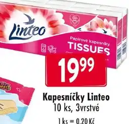 Qanto Kapesníčky Linteo nabídka