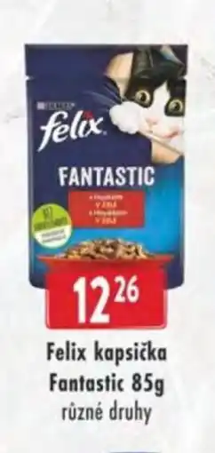 Astur&Qanto Felix kapsička Fantastic nabídka