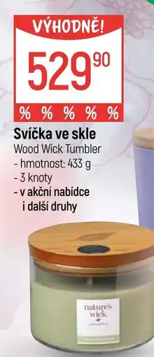 Globus Svíčka ve skle nabídka