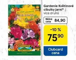 Tesco Gardenie Květinové cibulky jarní, více druhů nabídka
