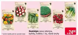 Teta Nostalgie osiva zelenina nabídka