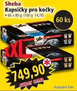 Norma Sheba Kapsičky pro kočky nabídka