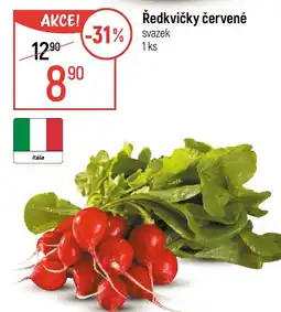 Globus Ředkvičky červené nabídka